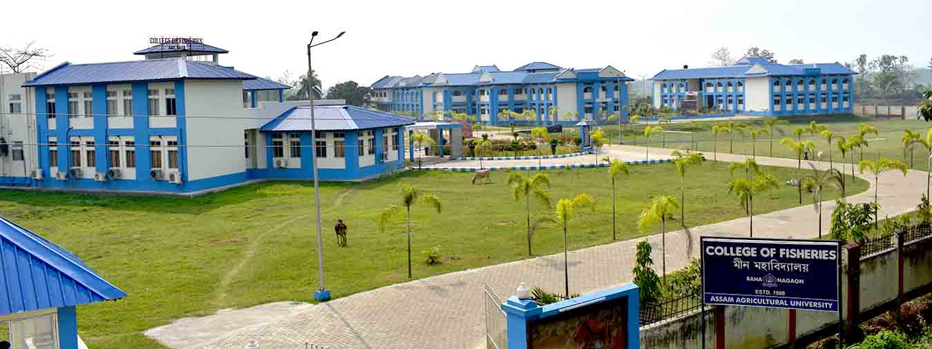 College of Fishery Science