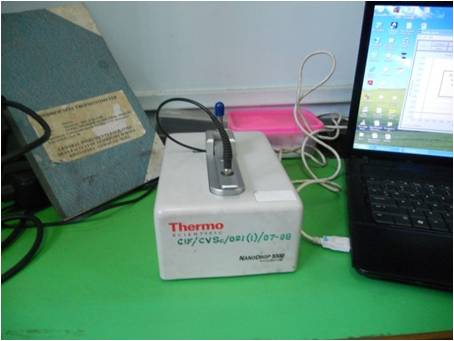 Nanodrop Spectrophotometer