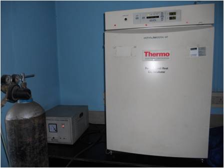 CO2 Incubator