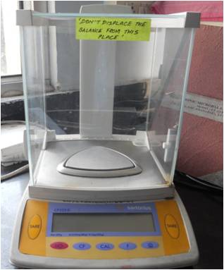 Electronic Microbalance