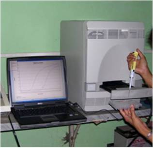 Real-Time PCR