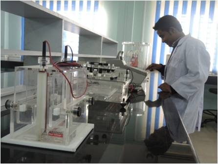 Gel Electrophoresis