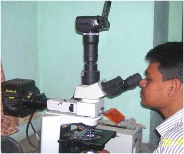 Fluorescent Microscope