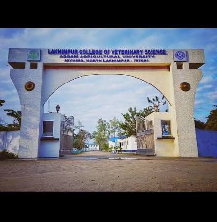 College of Dairy Science